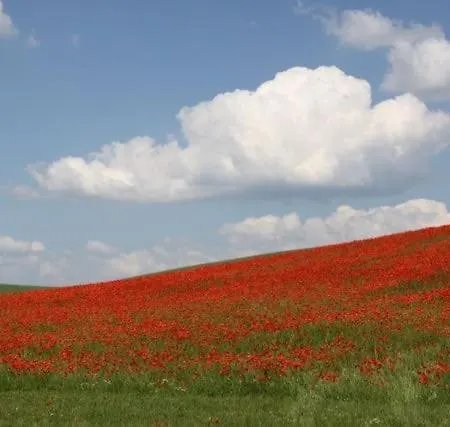 Buchbinderhof In Uckermark