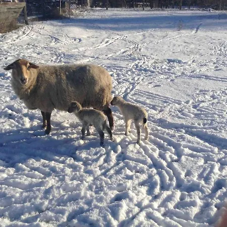Prázdninový dům Buchbinderhof In Uckermark *
