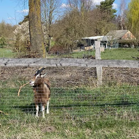 Buchbinderhof In Uckermark *