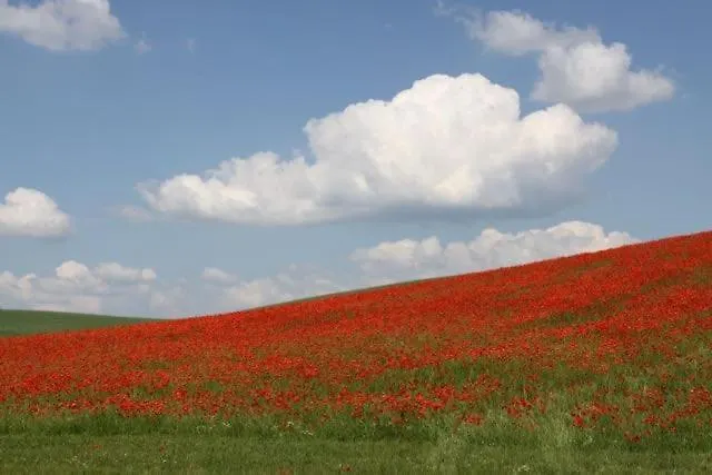 Buchbinderhof In Uckermark