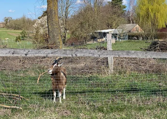 Buchbinderhof In Uckermark *
